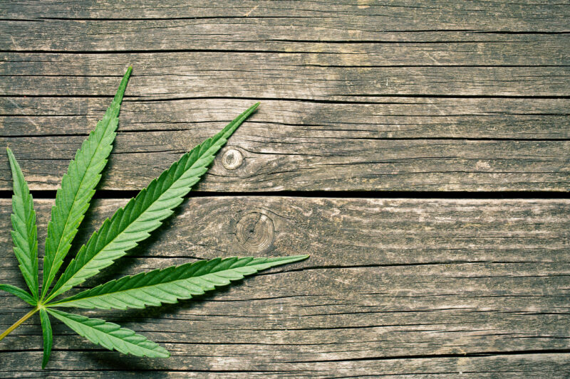 What You Should Know About Criminal Charges for Marijuana Possession in Birmingham, AL